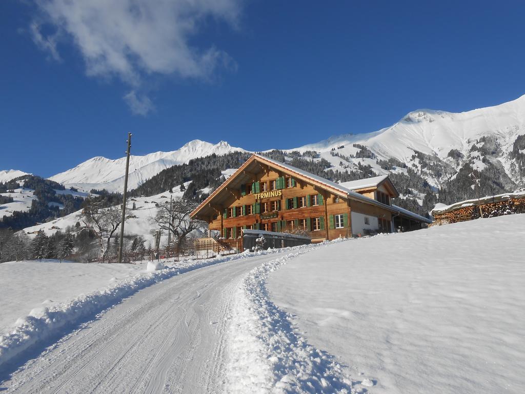 Terminus Reinisch Apartamento Frutigen Exterior foto